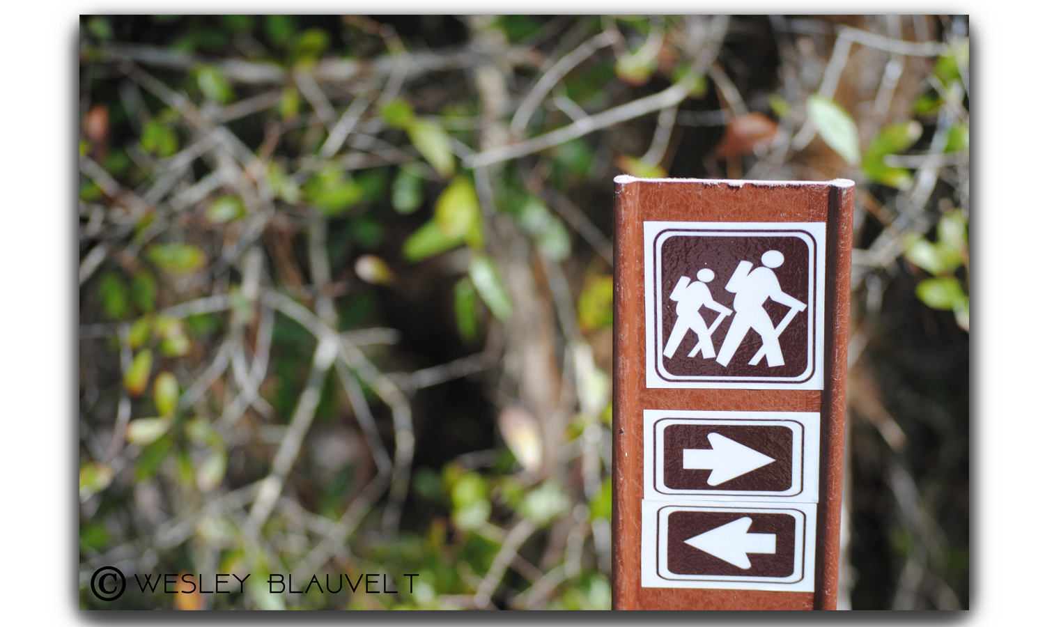 Hiking Sign